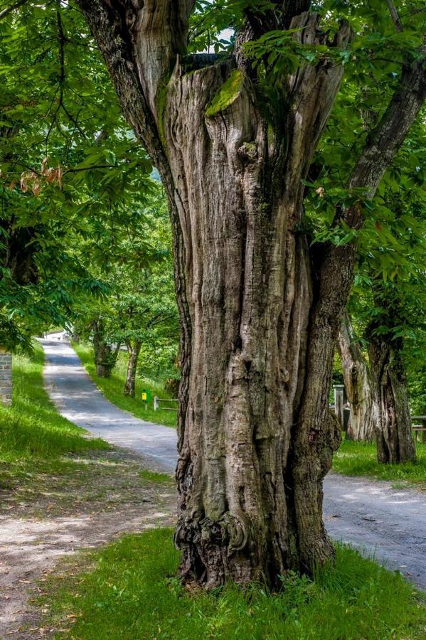 Grotto Zendralli Roveredo Zewnętrze zdjęcie